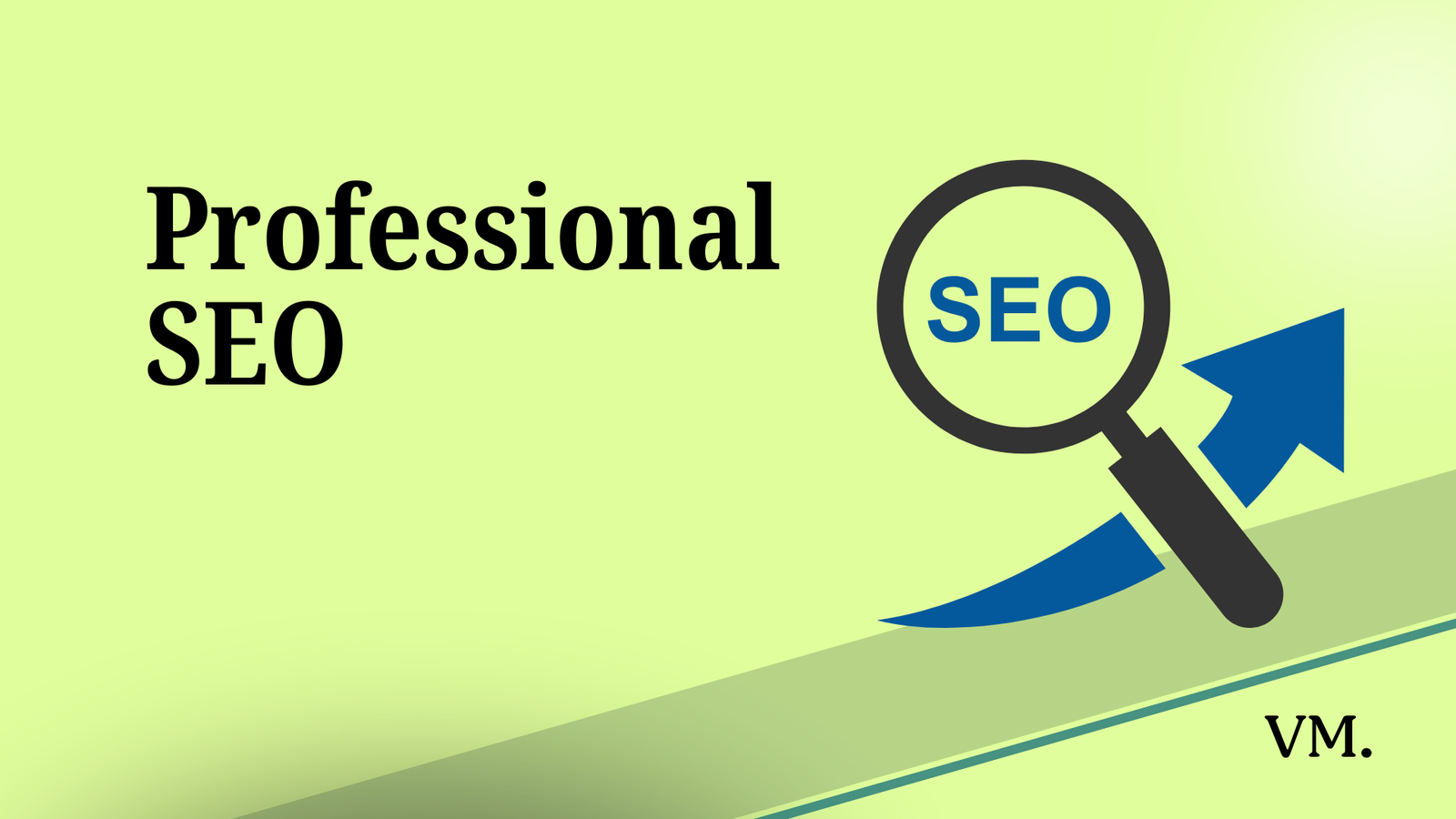 professional seo